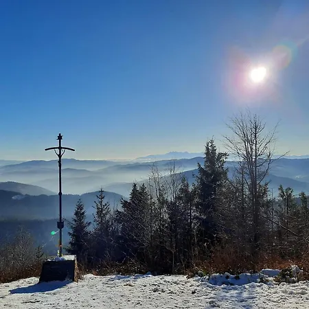 Фермерский дом Mogielicki Zakatek *
