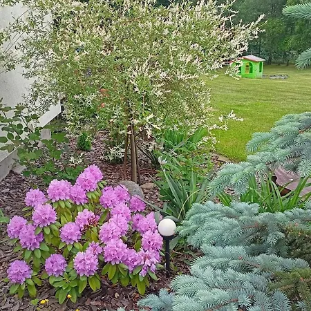 Mogielicki Zakatek Farmház