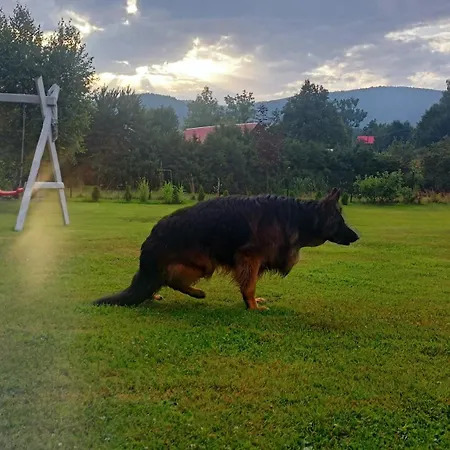 Mogielicki Zakatek Jurkow (Limanowa)