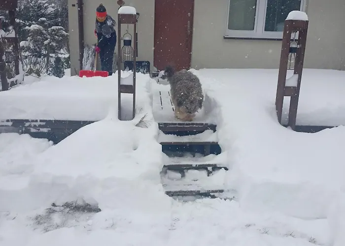 Κατάλυμα σε φάρμα Mogielicki Zakatek Jurkow (Limanowa)