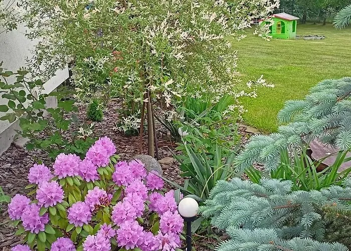 Mogielicki Zakatek Κατάλυμα σε φάρμα