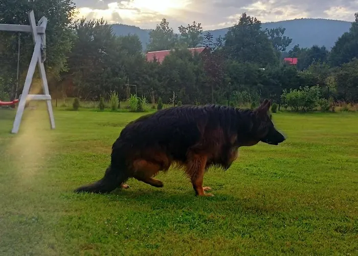 Mogielicki Zakatek Jurkow (Limanowa)